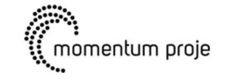 Momentum Proje