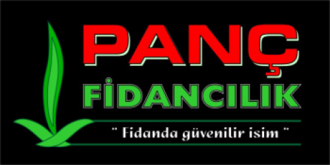 Panç Fidancılık